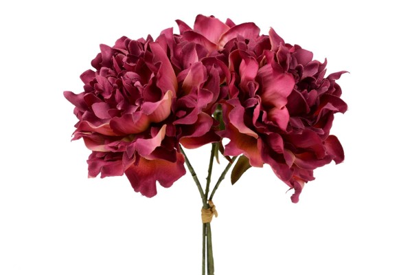 Peonia (Bund x3) L28cm