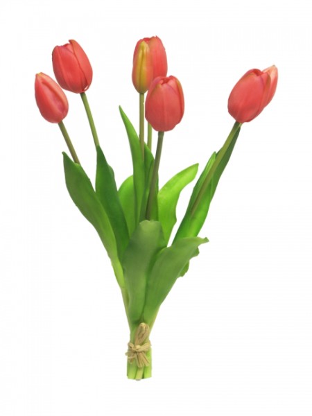 Tulpe Sally x7 40cm