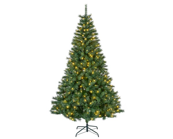 Baum Canada Spruce m. 520 LED D150xH240cm