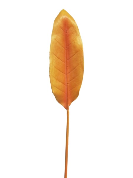 Blatt Strelitzia L90cm