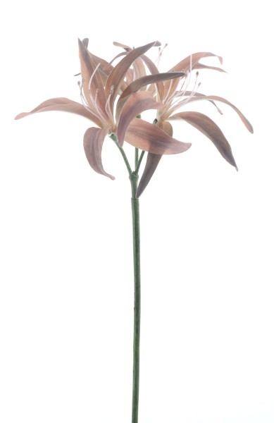 Lilienzweig L79cm