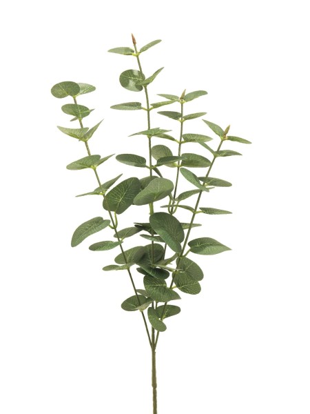 Eucalyptus Jewel 64cm