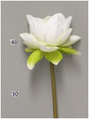 Lotus spray L48cm