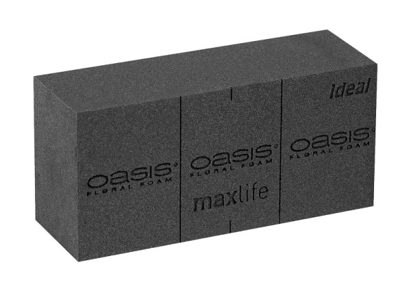 Oasis Black Ideal Steckschaum