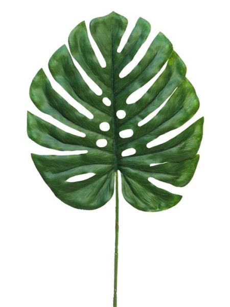 Blatt Monstera Futura L46cm