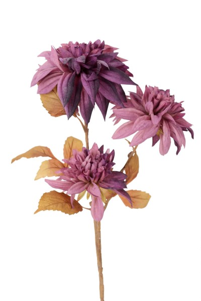 Dahlia x3 L66cm