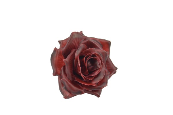 Rose gewachst D12cm