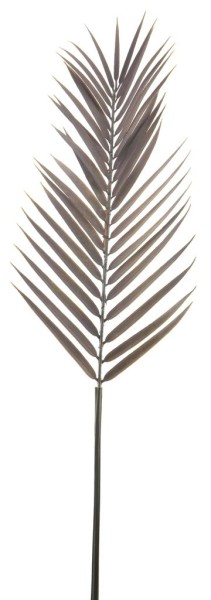 Kentia Palmblatt L100cm